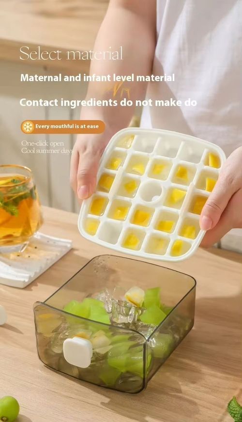 Ice maker