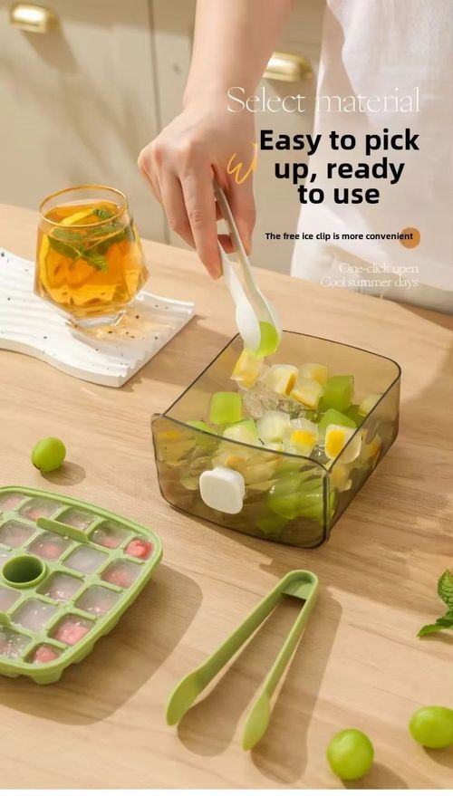 Ice maker