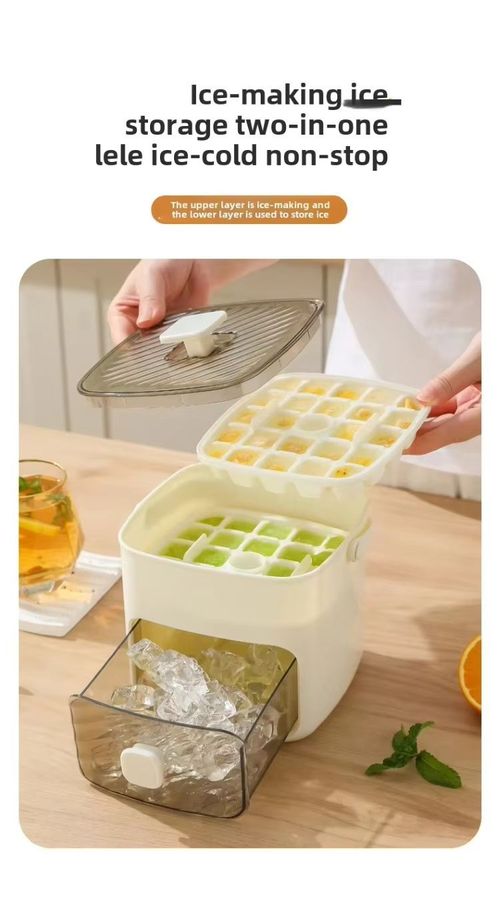 Ice maker