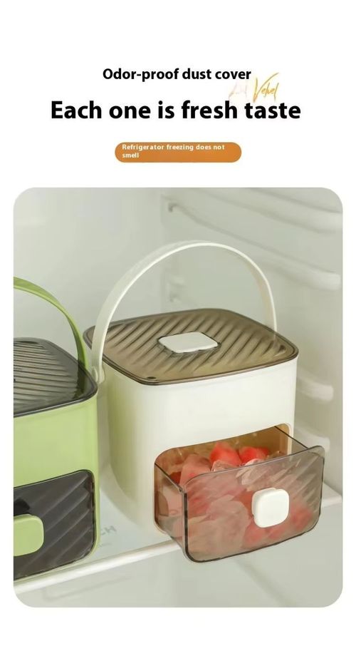 Ice maker