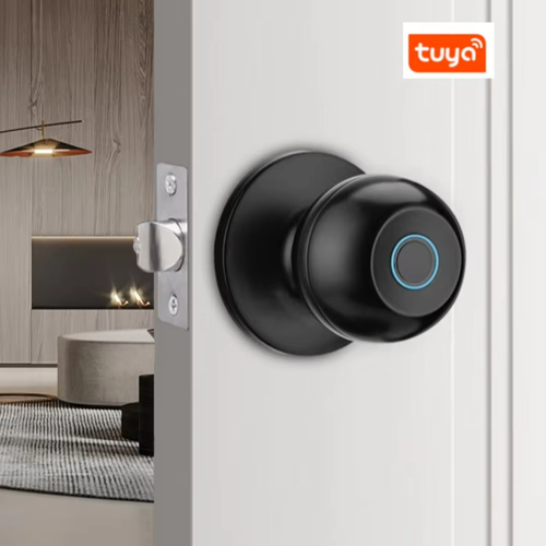 Smart Bluetooth Multi-functional New-style Spherical Apartment Lock, Round Cylinder Door Lock with Steel Ball Knob, Doors