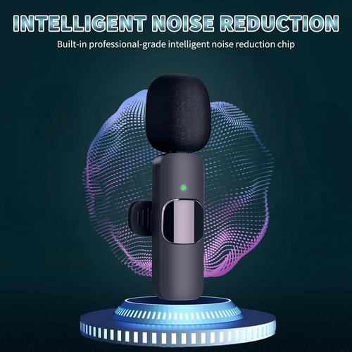 2in1 Wireless Mic Clip Microphone Conference Live Lavalier Microphone with Receiver for iphone and Android Phone