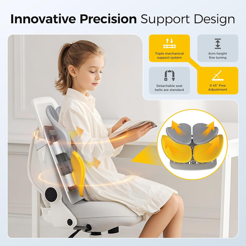 Lumbar Support Pillow for Office Chair - Adjustable Large Back Support for Car, Gaming with Zoning for Pain Relief & Posture