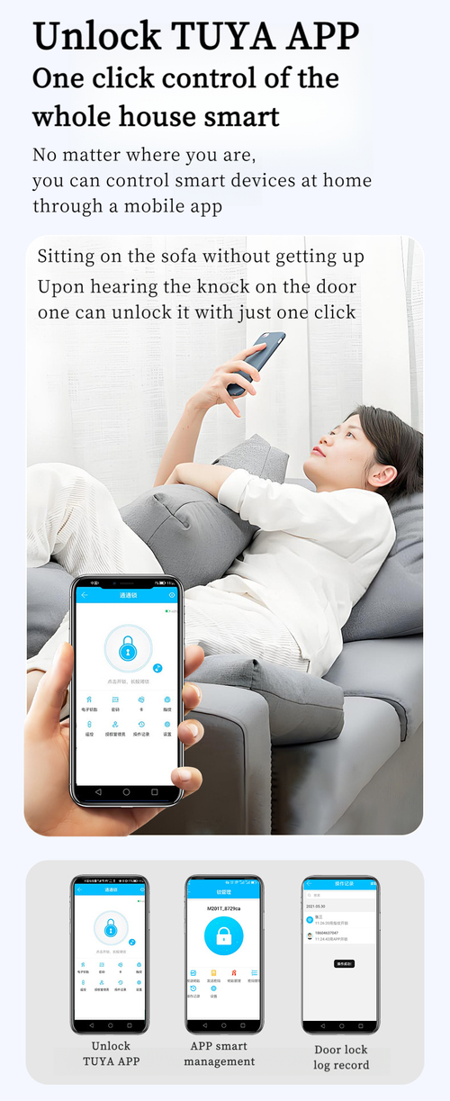 Smart Bluetooth Multi-functional New-style Spherical Apartment Lock, Round Cylinder Door Lock with Steel Ball Knob, Doors