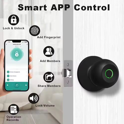 Smart Bluetooth Multi-functional New-style Spherical Apartment Lock, Round Cylinder Door Lock with Steel Ball Knob, Doors