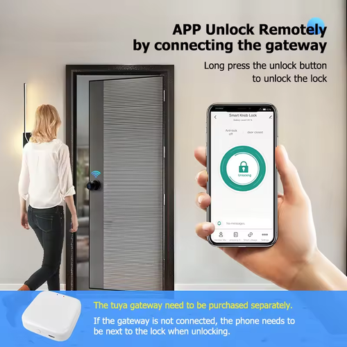 Smart Bluetooth Multi-functional New-style Spherical Apartment Lock, Round Cylinder Door Lock with Steel Ball Knob, Doors