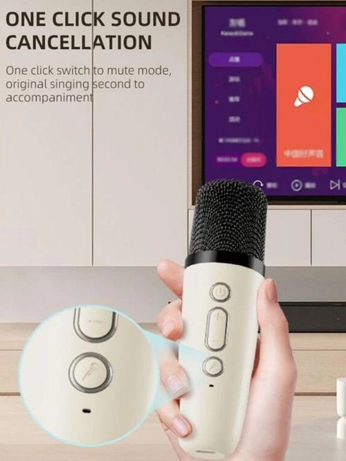 Mini microfone portátil áudio integrado casa família cantando karaoke máquina sem fio BT Outdoor Speaker