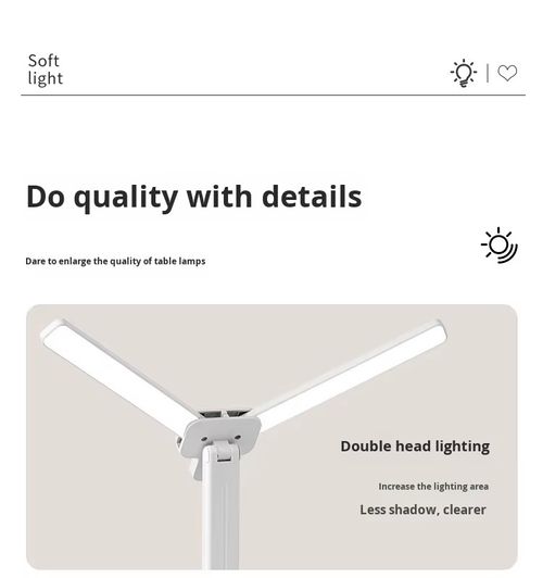 Rechargeable Double-head Desk Lamp