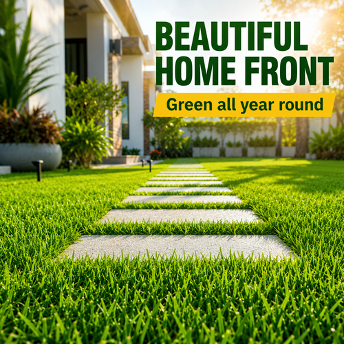 🔥HOT SALE🔥 COD！Four-Season Lawn Seeds, No-Mow Lawn Grass Seeds, Slope Stabilization and Soil Conservation Mixed Seeds, Evergreen, Cold-Hardy, Drought-Tolerant Grass Seeds