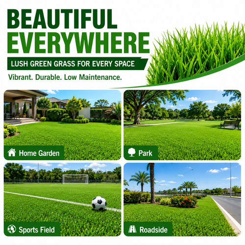 🔥HOT SALE🔥 COD！Four-Season Lawn Seeds, No-Mow Lawn Grass Seeds, Slope Stabilization and Soil Conservation Mixed Seeds, Evergreen, Cold-Hardy, Drought-Tolerant Grass Seeds