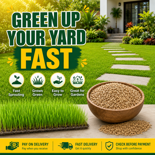🔥HOT SALE🔥 COD！Four-Season Lawn Seeds, No-Mow Lawn Grass Seeds, Slope Stabilization and Soil Conservation Mixed Seeds, Evergreen, Cold-Hardy, Drought-Tolerant Grass Seeds