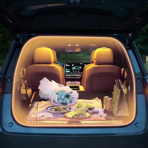 🔥HOT SALE🔥 COD！High-Brightness Automotive LED Reading Light 3020: Interior Light, Trunk Light, Cabin Light, Roof Light, Interior Lighting Upgrade