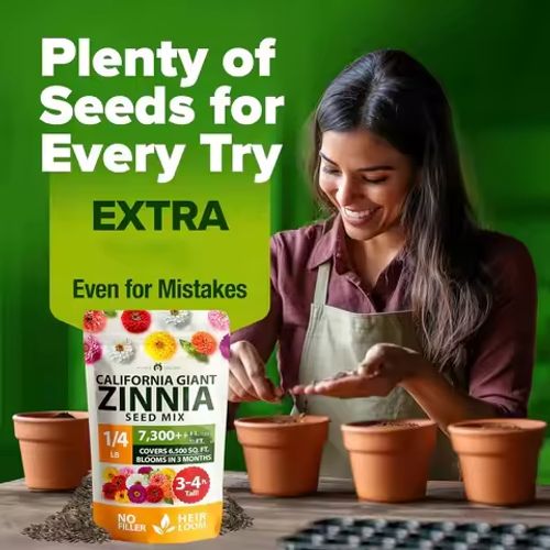 Zinnia Seeds Mix, 1 Oz, Over 3,000 Flowers Seeds