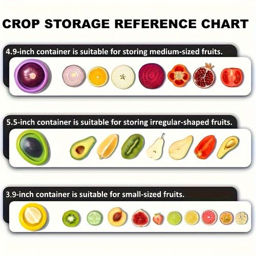 🔥Fruit And Vegetable Anti-Oxidation Storage Box