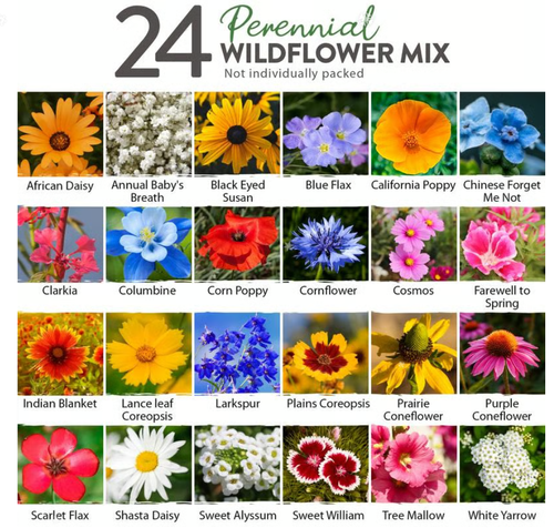 💐Spring Hot Sale 50% OFF💐Wildflower Seeds 90,000+ Bulk Seeds Mix 3oz