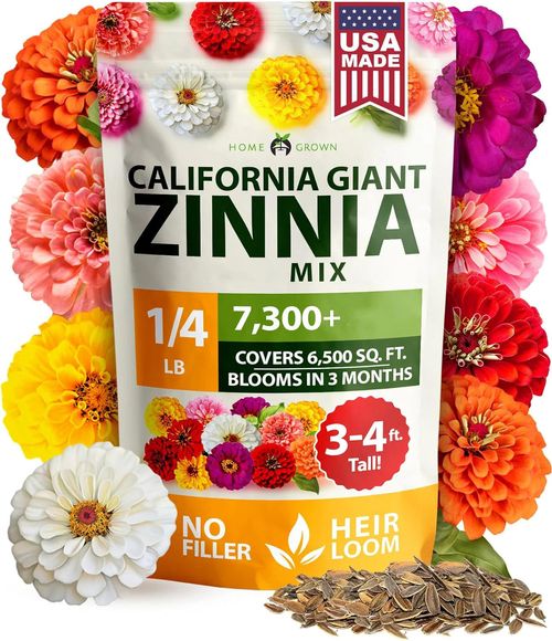 Zinnia Seeds Mix, 1 Oz, Over 3,000 Flowers Seeds
