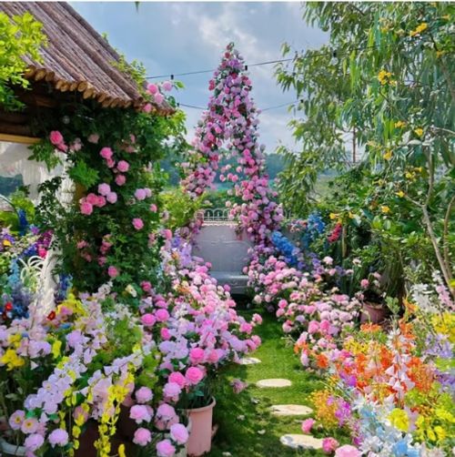 🌸7 days germination💕💐Beautiful Climbing Rose Seeds💕