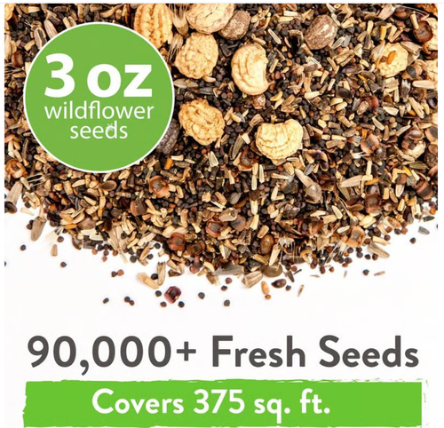 💐Spring Hot Sale 50% OFF💐Wildflower Seeds 90,000+ Bulk Seeds Mix 3oz