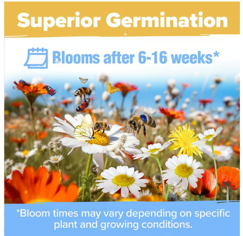 💐Spring Hot Sale 50% OFF💐Wildflower Seeds 90,000+ Bulk Seeds Mix 3oz