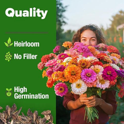 Zinnia Seeds Mix, 1 Oz, Over 3,000 Flowers Seeds
