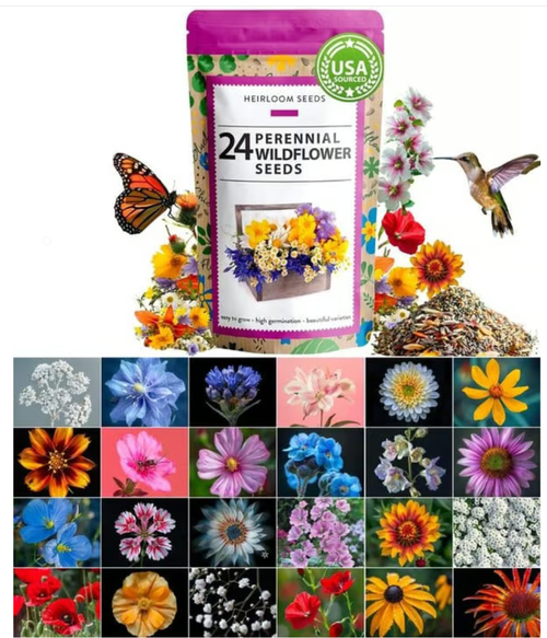 💐Spring Hot Sale 50% OFF💐Wildflower Seeds 90,000+ Bulk Seeds Mix 3oz