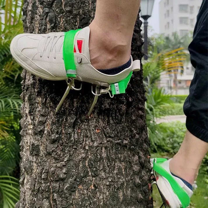 Outdoor Tree