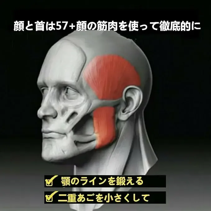 食用グレード 顎トレーニングボール｜HOLE-POWER 技術 4 レベル抵抗