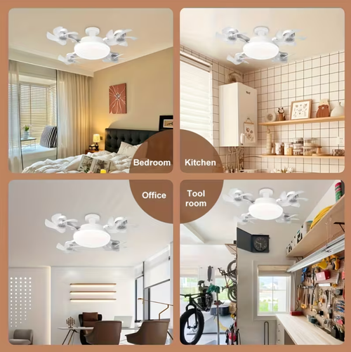 Ceiling Fan Light