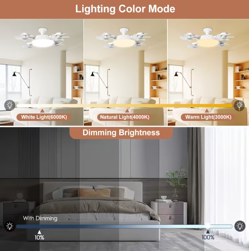 Ceiling Fan Light