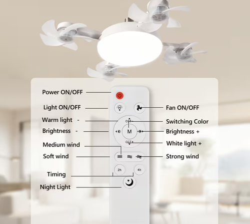 Ceiling Fan Light