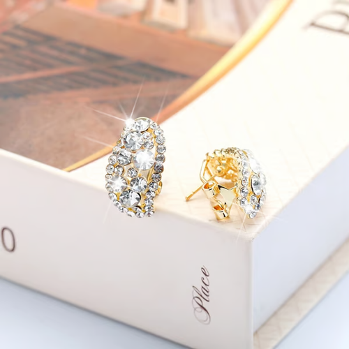 Diamonds Hoop Earrings🎁