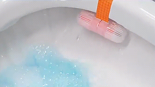 Descaling Fragrance Toilet Cleaner