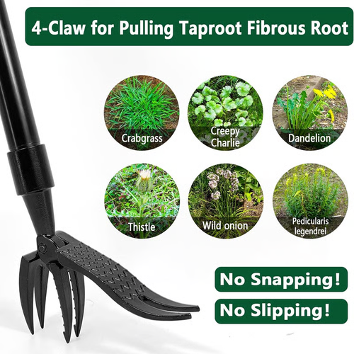 🔥Detachable Stand Up Weed Puller