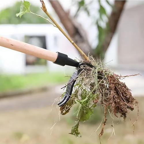 🔥Detachable Stand Up Weed Puller