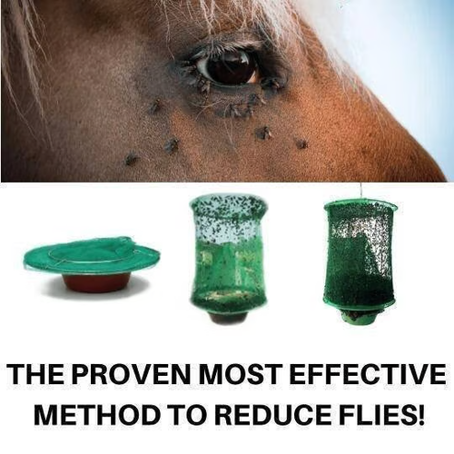 🎁Buy 1 Get 1 Free🔥Reusable Ranch Fly Trap