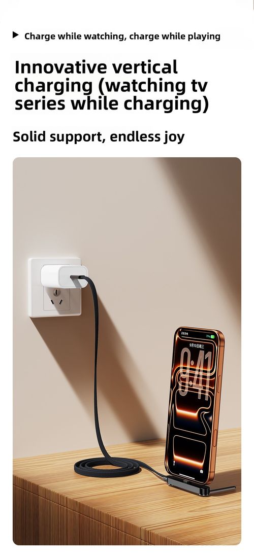 Multifunctional Stand Data Cable(3 items)