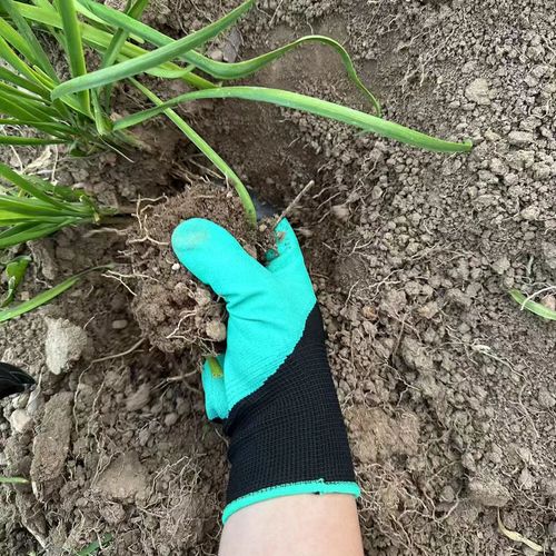 Garden Gloves