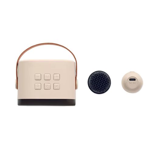 Portable Speaker