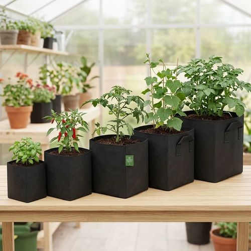 grow bag