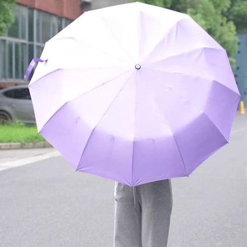 Factory Wholesales Low Price Umbrella Windproof Folding Custom logo Umbrella for the Rain Anti UV Rain Sun Double Frame Umbrella