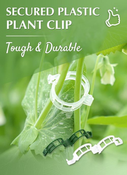 Secured Plastic Plant Clips