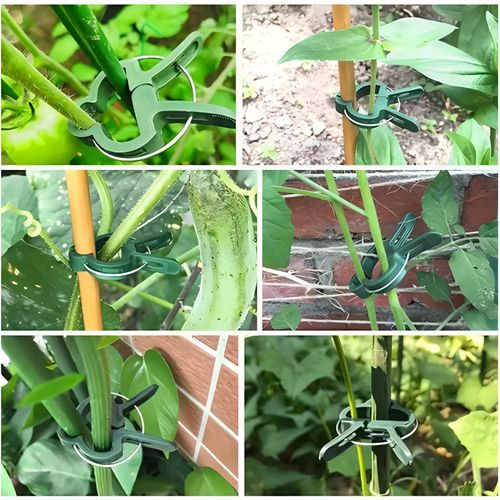 🔥50pcs Adjustable Plant Support Clips