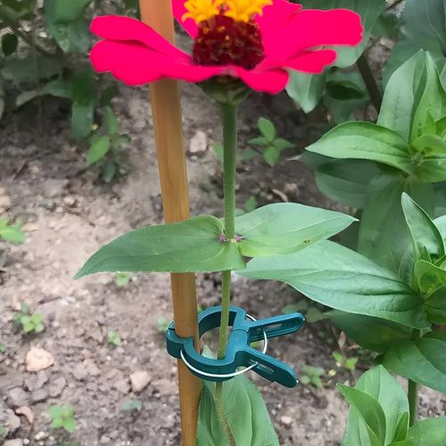 🔥50pcs Adjustable Plant Support Clips