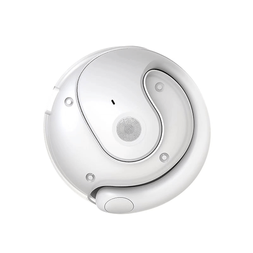 Wireless Bluetooth Translation Earbuds
