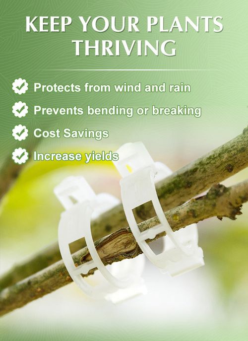 Secured Plastic Plant Clips
