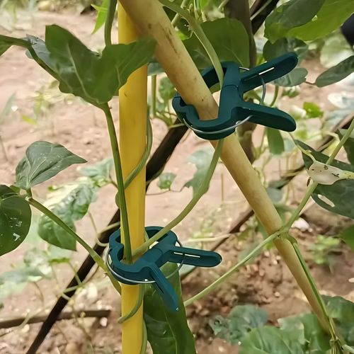 🔥50pcs Adjustable Plant Support Clips