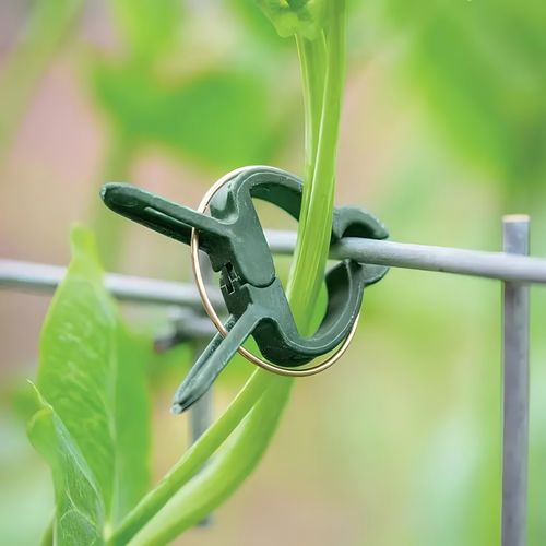 🔥50pcs Adjustable Plant Support Clips