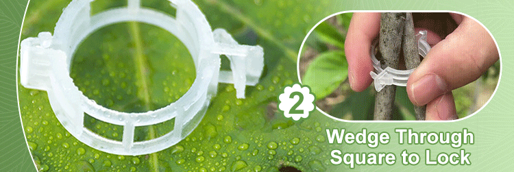 Secured Plastic Plant Clips