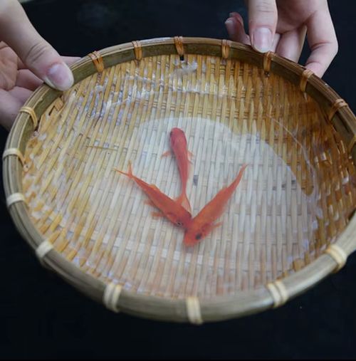 Reparo de telhados, revestimento impermeabilizante de poliuretano, revestimento impermeabilizante de paredes de banheiro, prevenção de vazamentos e impermeabilização.