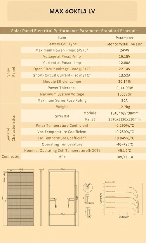 HITHIUM 245W 19V Monocrystalline Solar Panel